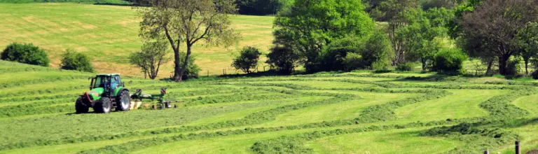 Field Notes Hero Image