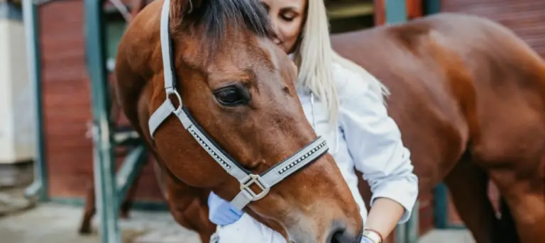Wood pellet horse bedding blog 1030x460