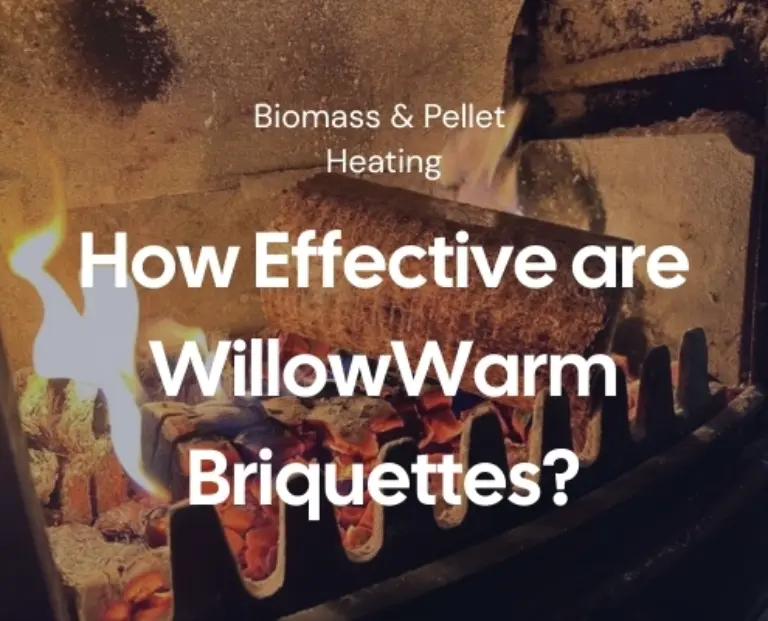 Willowarm Blog