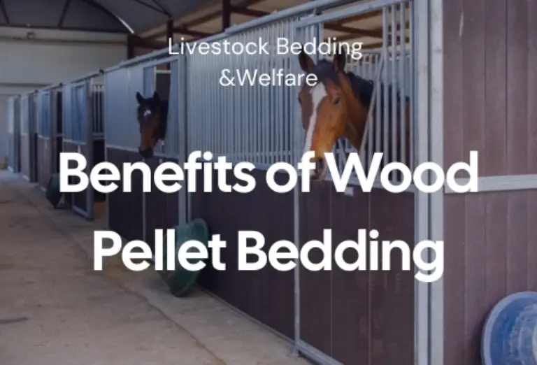 Benefits of wood pellet bedding blog image