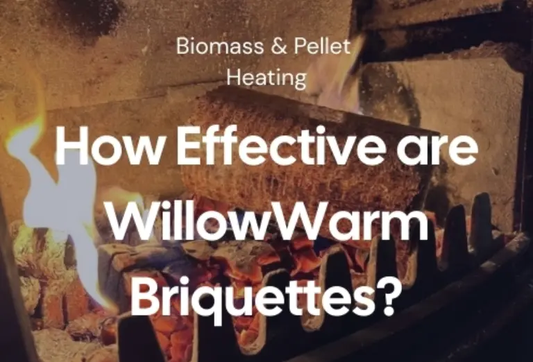 Willowarm Blog