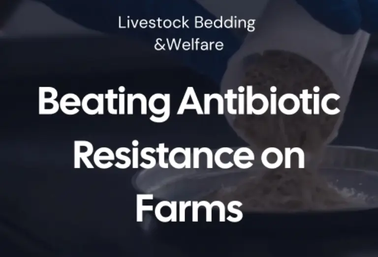 Antibiotic Resistance Blog Image