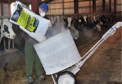 Farmer with sublime cattle bedding