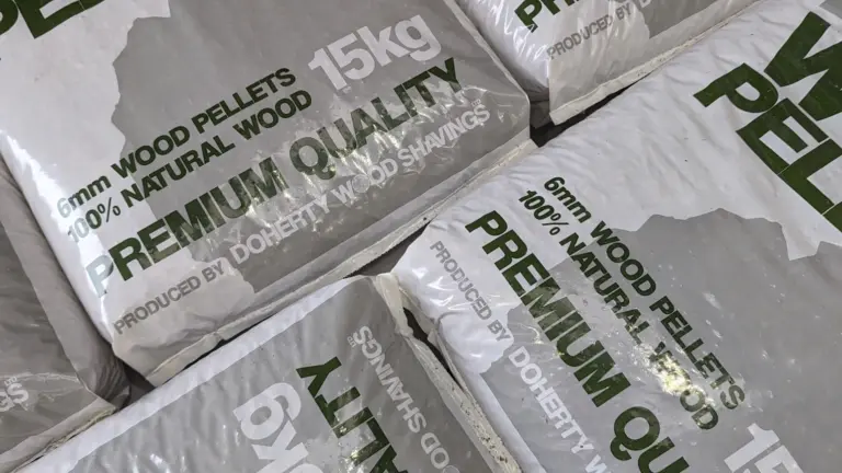 PXL 20231121 110745435