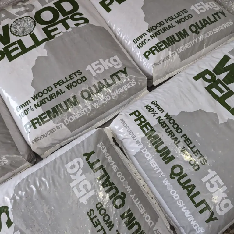 PXL 20231121 110745435