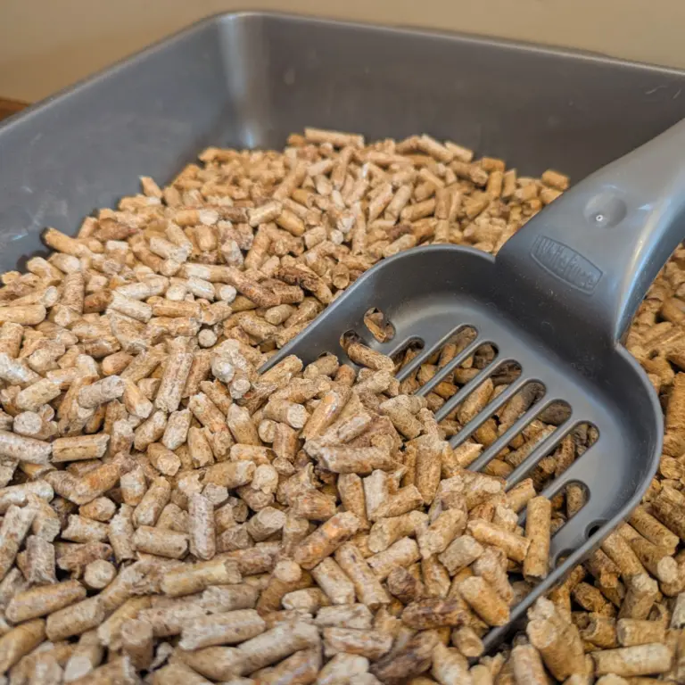 Litter Scoop Close up