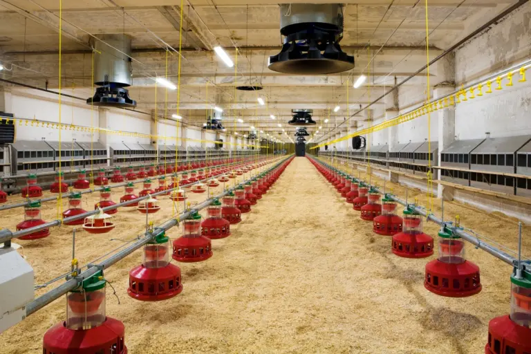 Poultry house