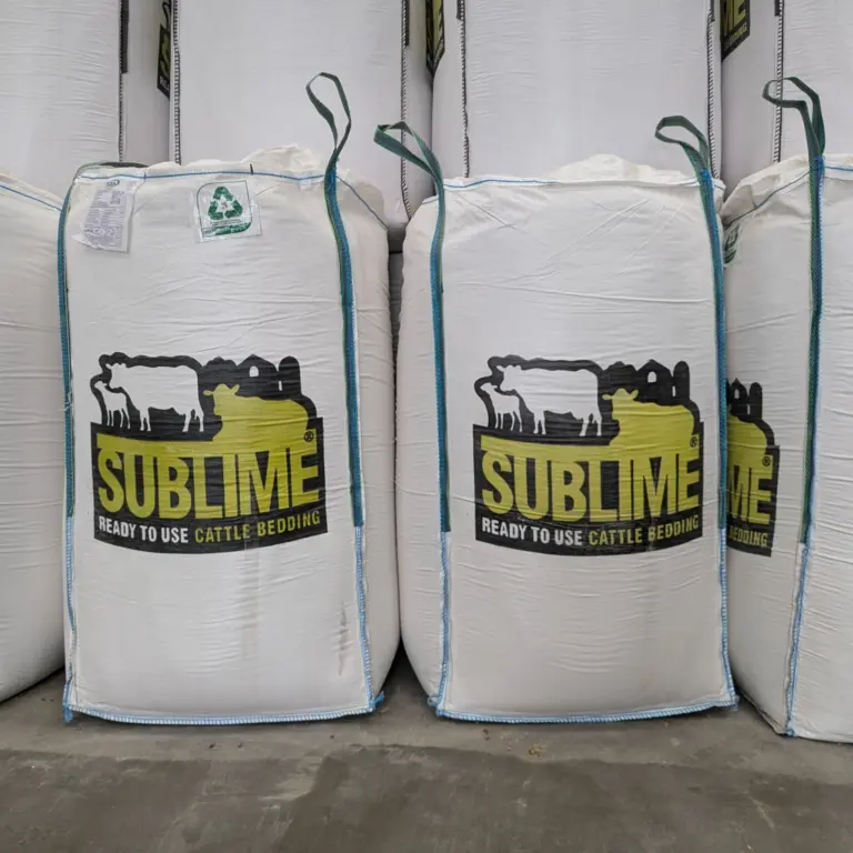 PXL 20240627 102907481