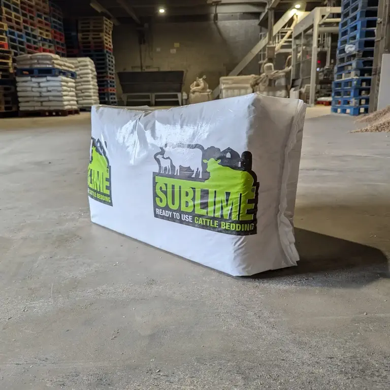 PXL 20240723 154646479 Custom