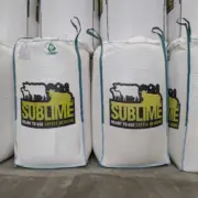 PXL 20240627 102907481