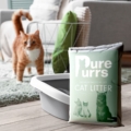 Ginger cat and litter tray with Pure Purrs cat litter in the foreground