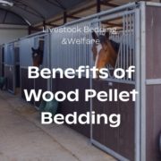 What are The Benefits of Wood Pellet Bedding? Blog featured Image