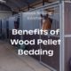 What are The Benefits of Wood Pellet Bedding? Blog featured Image