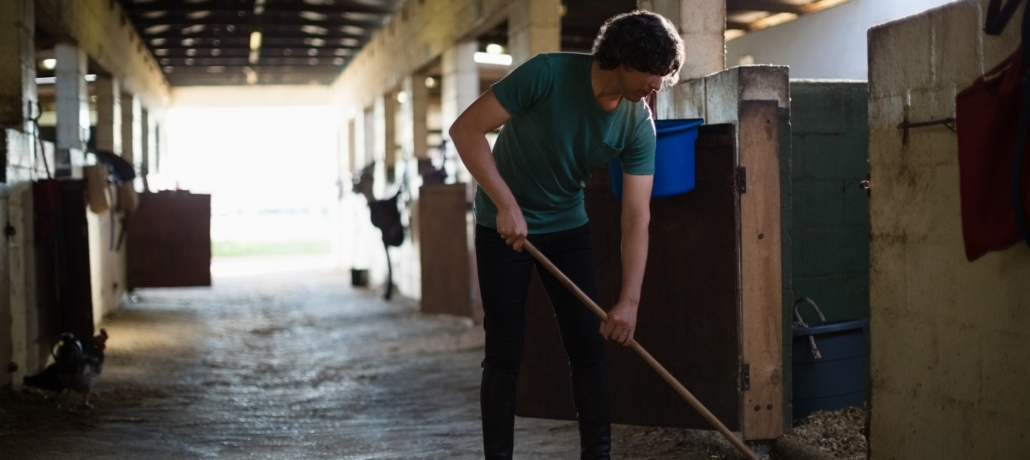 Cleaning out horse stall - wood pellet bedding blog