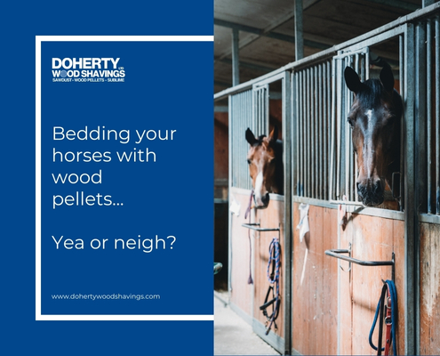 Why use wood pellets as bedding? - Blog featured image