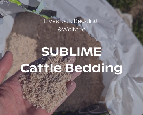 SUBLIME Cattle Bedding - An Origin Story - Featured Blog Image
