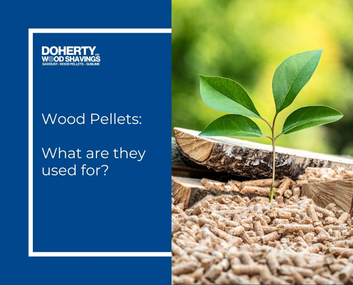 Blog featured image - wood pellets what are they used for?