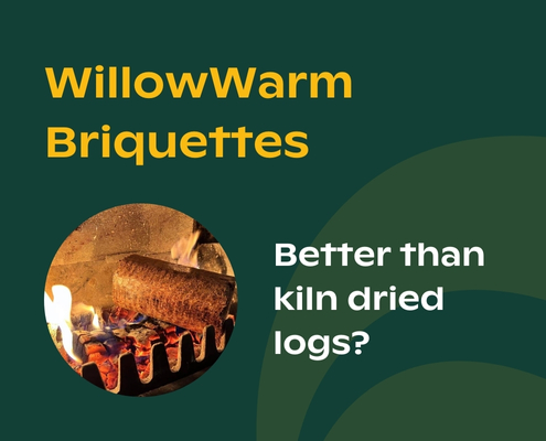 WillowWarm Briquettes blog image - are they better than kiln dried logs?